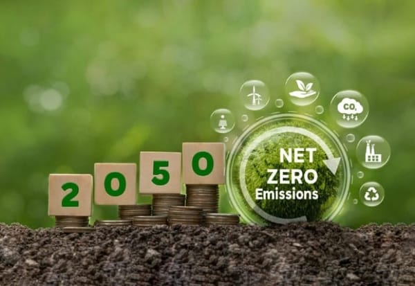 El concepto “Cero Neto” y su importancia en la lucha contra el cambio climático